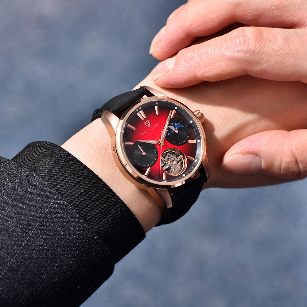 Montres PAGANI DESIGN 2025, mo - Mens Mechanical Watch avis et prix