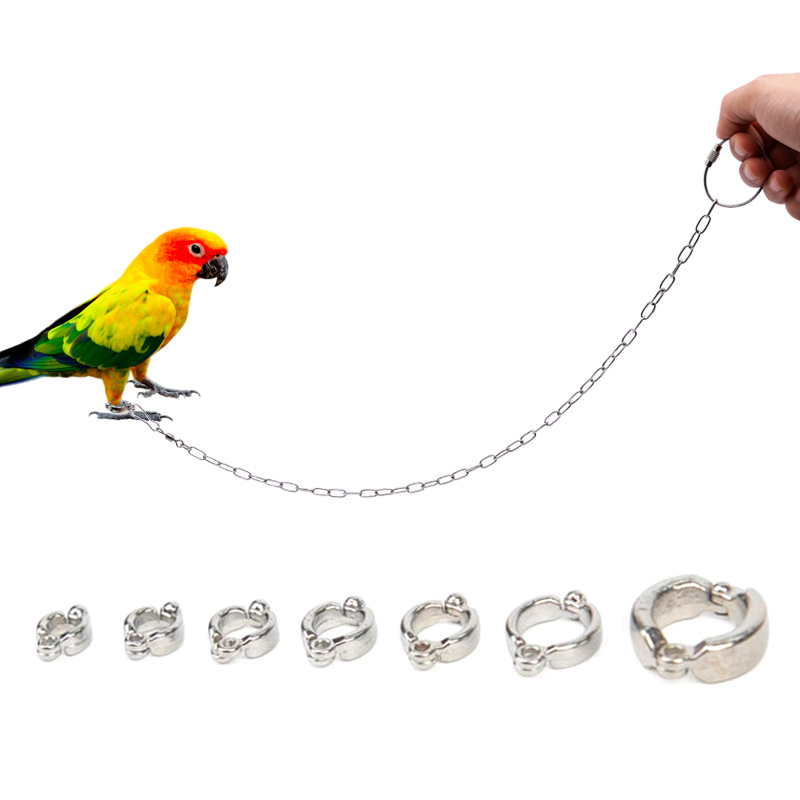 Anneau de jambe de perroquet e - Anklet Foot Chain avis et prix
