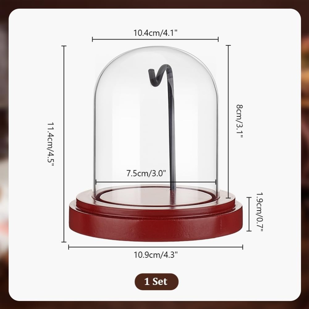 Vitrine de Montre de Poche en  - Jewelry Making Watches avis et prix